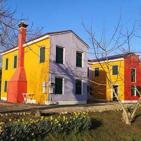 La Via Antiga Apartment Cittanova  Exterior photo